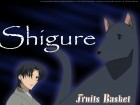 Fruits Basket