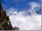 Mountain Goat, Mount Thamserku, Nepa