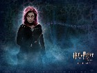 Harry Potter i Zakon Feniksa